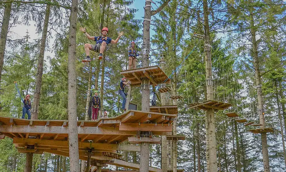 parc aventure dans les arbres